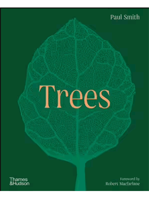 Trees: From Root To Leaf