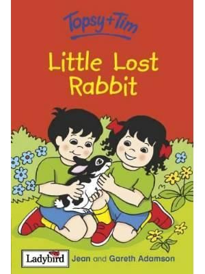 Little Lost Rabbit