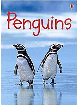 Penguins - Usborne Beginners