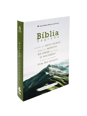 Bíblia Sagrada Naa Letra Gigante: Nova Almeida Atualizada (Naa)