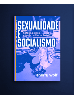 Sexualidade e Socialismo - Historia, Politica e Teoria da Libertação Lgbt