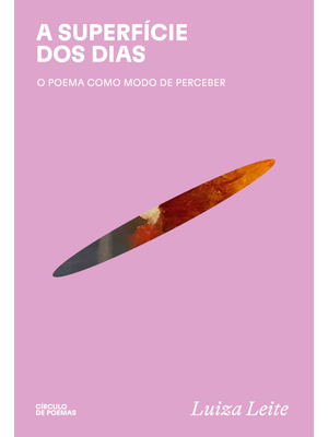 A Superfície dos Dias: o Poema Como Modo de Perceber