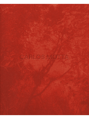 Carlos Motta: Marcenaria, Arquitetura e Design