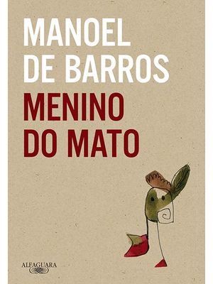 Menino do Mato