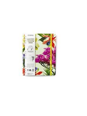 Caderno Organizador Duo Jóia Natural Pautado & Pontado 17X24 Insecta Dia