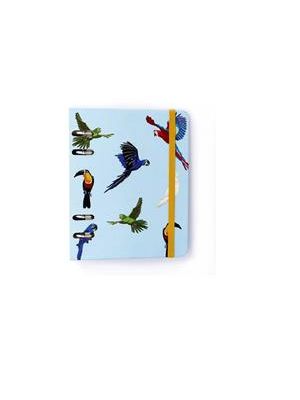 Caderno Criativo Argolado Office Duo Pássaros Pautado & Pontado A6 Espécies Azul