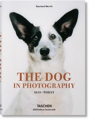The Dog in Photography 1839 - Today