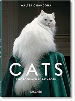 Walter Chandoha. Cats. Photographs 1942-2018