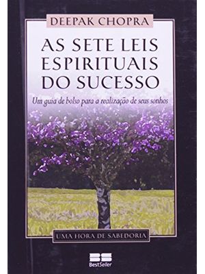 As Sete Leis Espirituais do Sucesso (Miniedição)