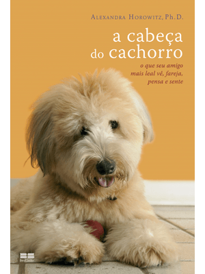 A Cabeça do Cachorro