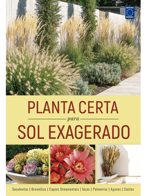 Planta Certa para Sol Exagerado