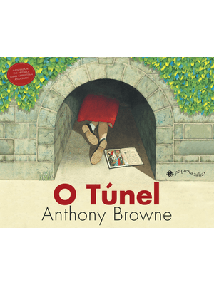 O Túnel