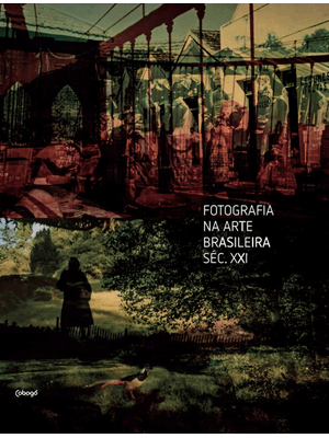 Fotografia na Arte Brasileira Séc. Xxi