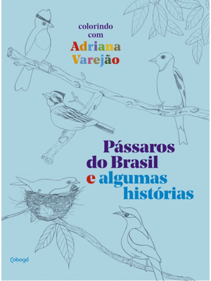 Pássaros do Brasil e Algumas Histórias: Colorindo com Adriana Varejão