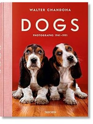 Dogs: Photographs 1941-1991