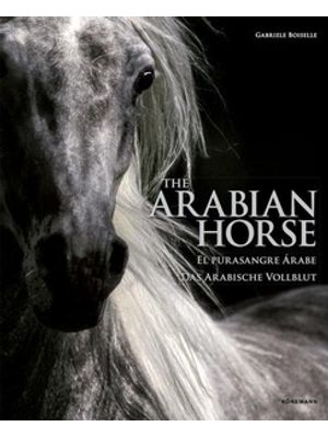 The Arabian Horses