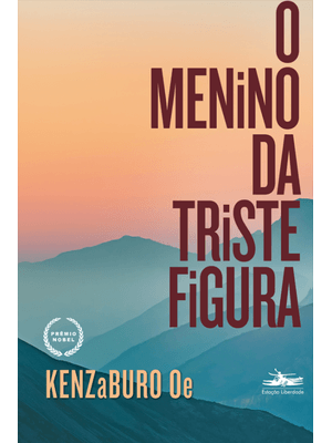 O Menino da Triste Figura