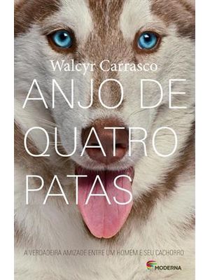 Anjo de Quatro Patas: a Verdadeira Amizade Entre Um Homem e Seu Cachorro