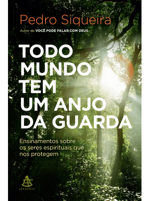 Todo Mundo Tem Um Anjo da Guarda: Ensinamentos sobre os Seres Espirituais Que nos Protegem