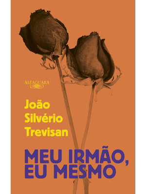 Meu Irmão, Eu Mesmo